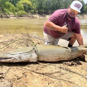 Meet your Posher, Ashton